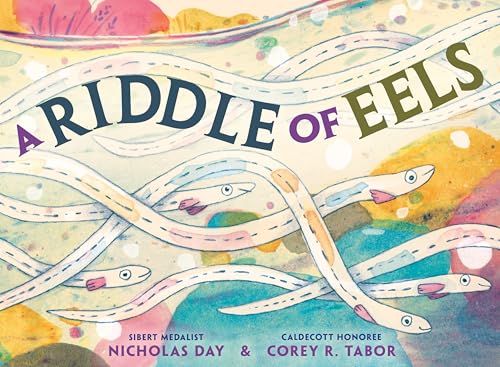 A Riddle of Eels (Hardcover)