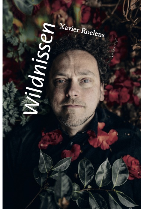 Wildnissen (Paperback)