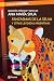 Fantasmas de la selva y otras leyendas argentinas (Colección La esquina) (Spanish Edition)