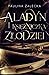Aladyn i Księżniczka Złodziei