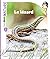 Le lézard