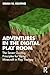 Adventures in the Digital Play Room: The Seven Guiding Principles for Using Minecraft in Play Therapy