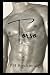 Torso