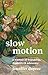 Slow Motion by Jennifer Dupree Slow Motion by Jennifer Dupree