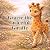 Gracie the Graceful Giraffe