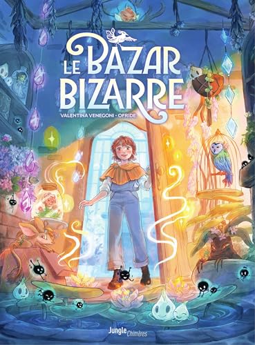 Le bazar bizarre (Kindle Edition)