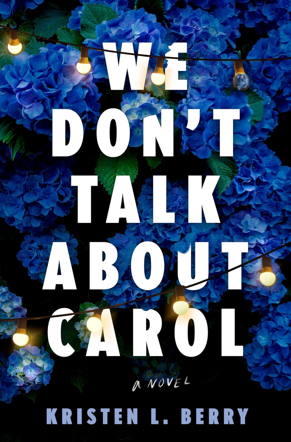 We Don't Talk About Carol (Hardcover)