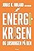 Energikrisen: Og løsningen på den