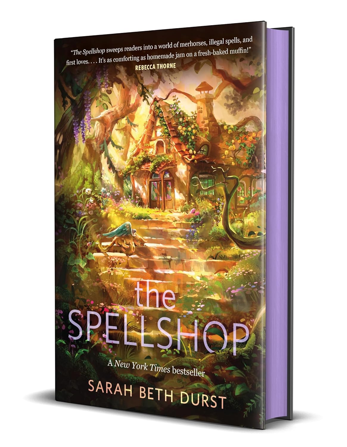 The Spellshop (Spellshop, #1)