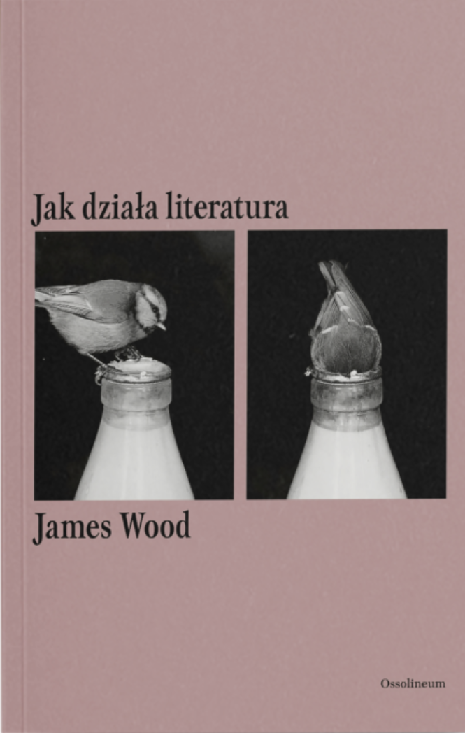 Jak działa literatura