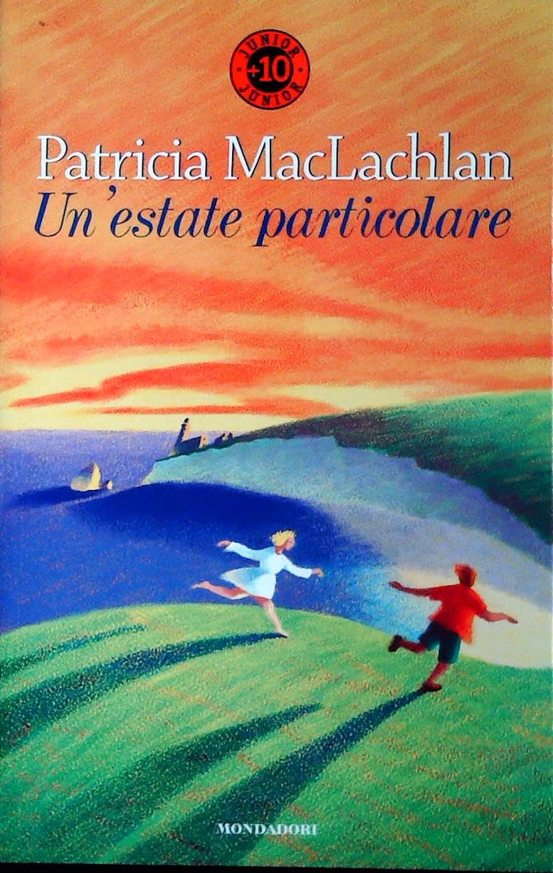 Un'estate particolare (Paperback)