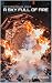 A Sky Full of Fire by Justin Wilson