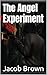 The Angel Experiment by Jacob Brown