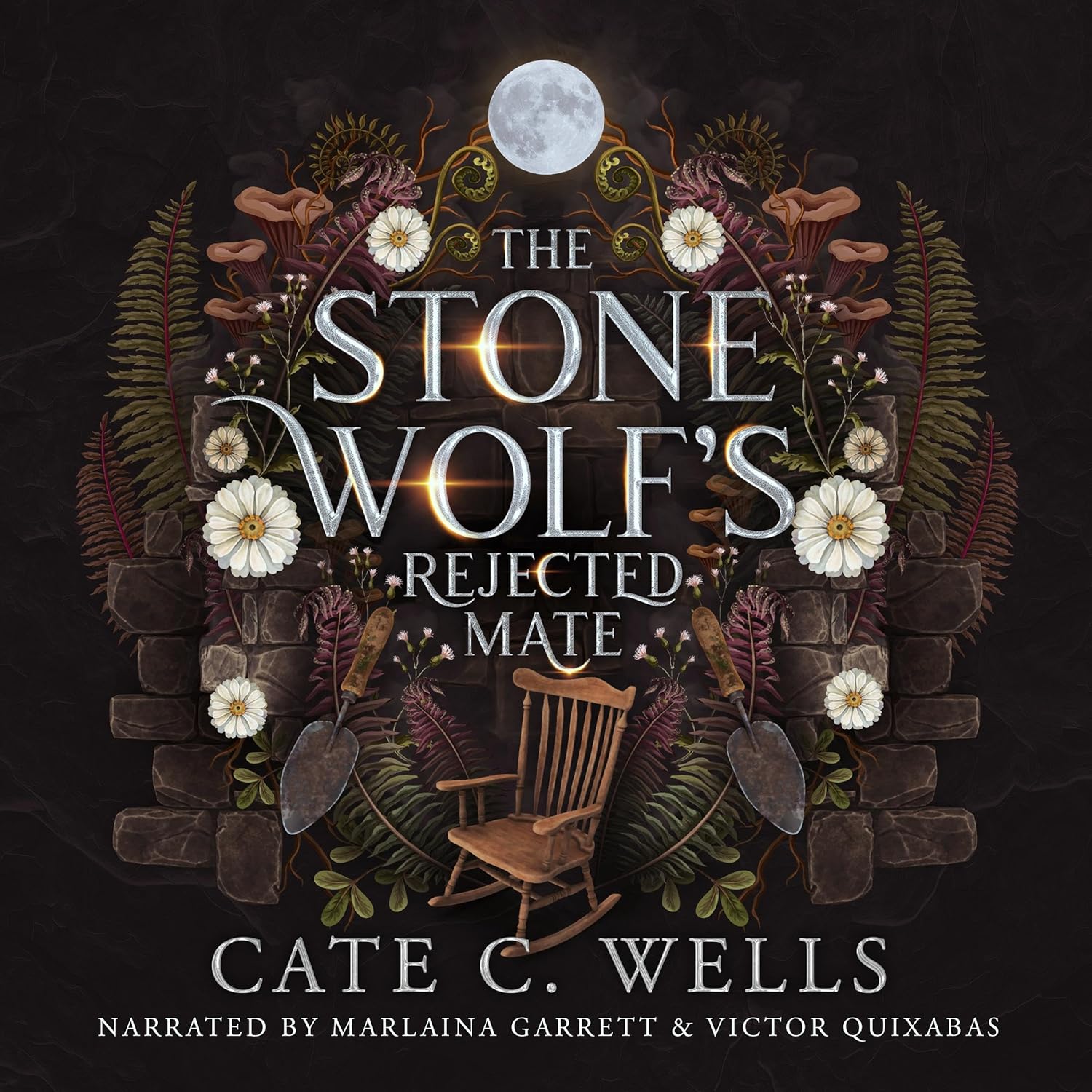 The Stone Wolf's Rejected Mate (Five Packs #4.5)