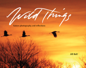 Wild Things: Nature Photography and Reflections (Hardcover)