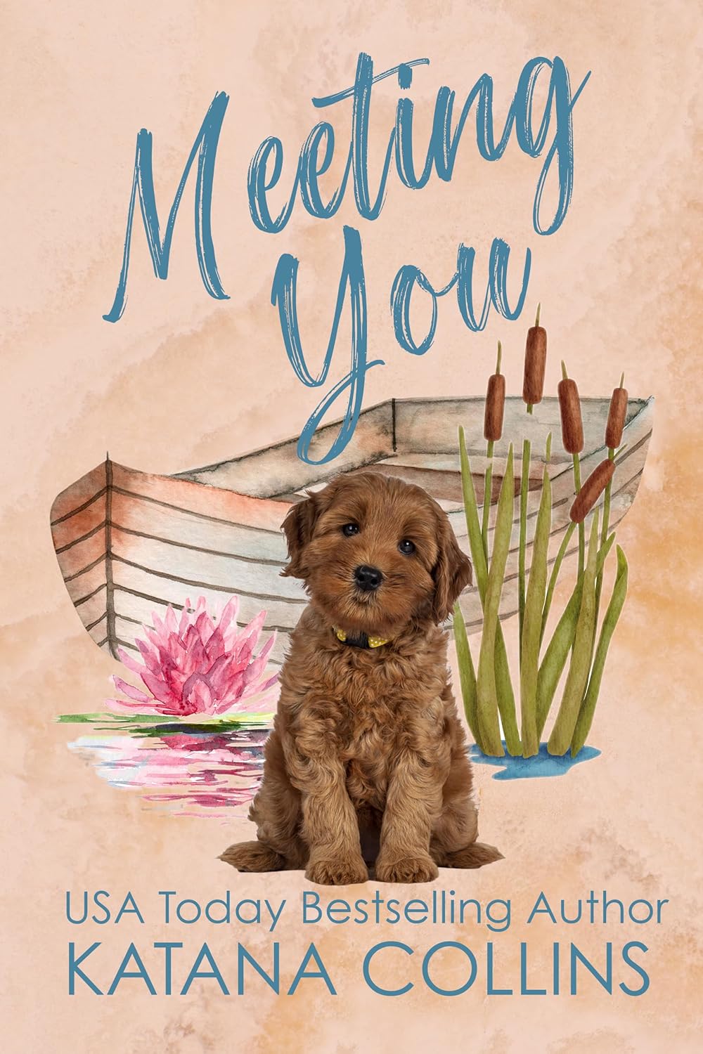 Meeting You (Maple Grove, #.5)