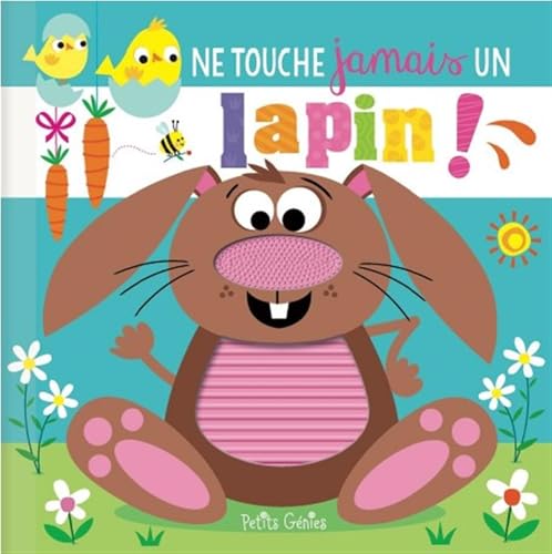 Ne touche jamais un lapin ! (French Edition)