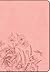CSB Large Print Compact Reference Bible, Optimal Type, Digital Study Edition, Pink Floral LeatherTouch Red Letter, Presentation Page, Cross-References, Full-Color Maps