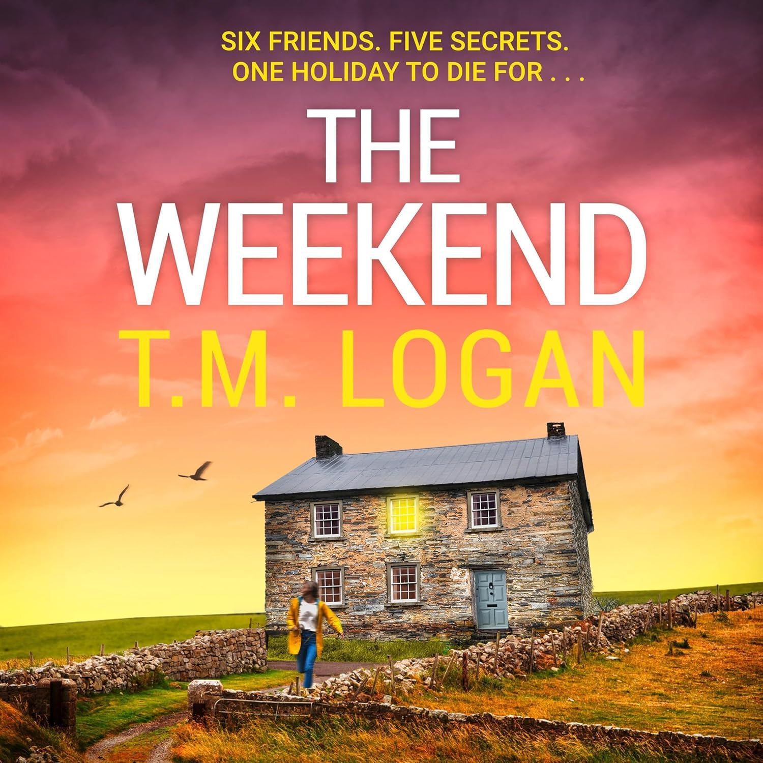 The Weekend: The BRAND NEW instant top 10 bestseller from the author of THE DAUGHTER - your perfect thrilling escape this spring