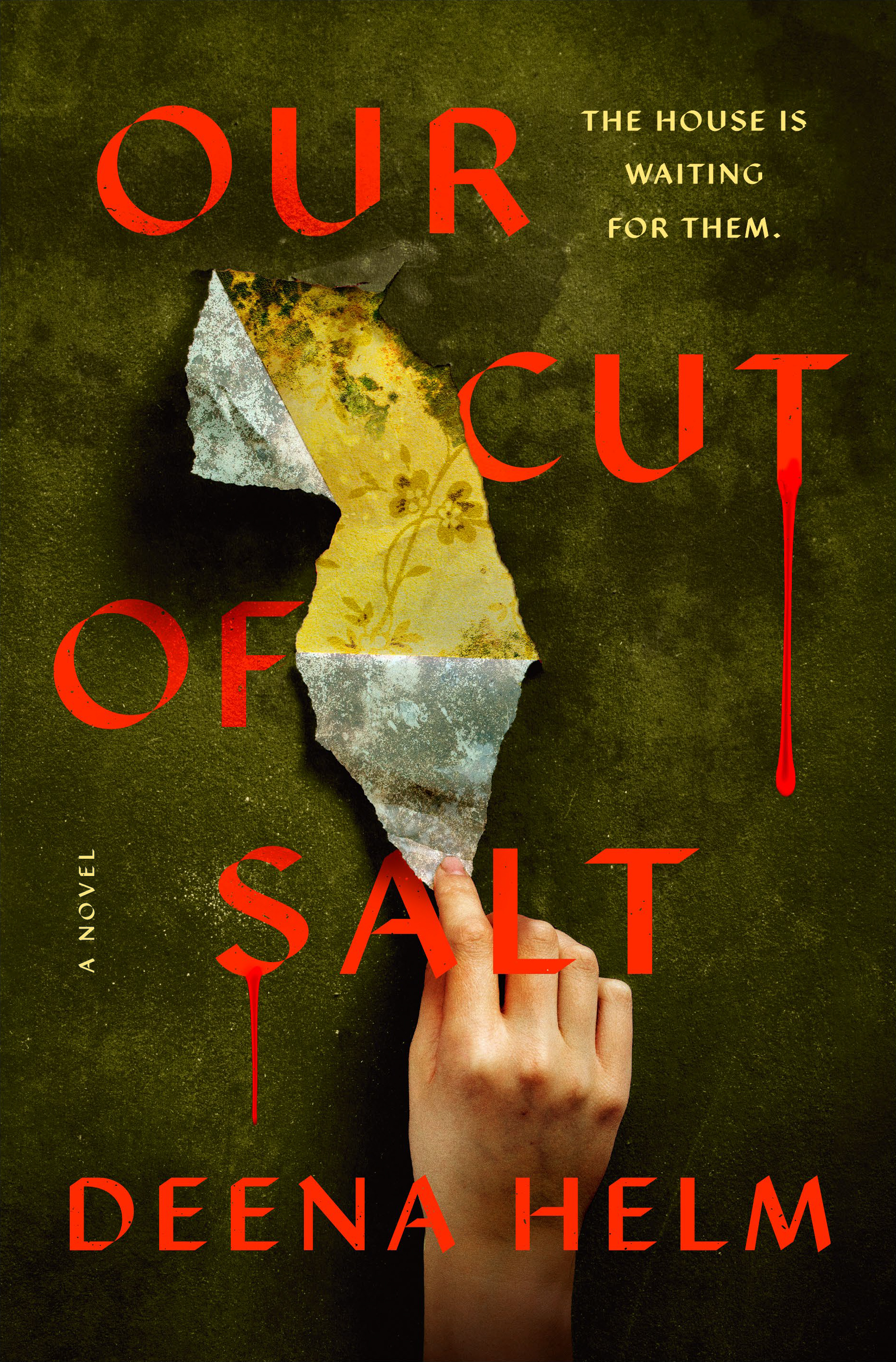 Our Cut of Salt (Hardcover)