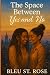 The Space Between Yes and No by Bleu St. Rose The Space Between Yes and No by Bleu St. Rose