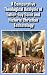A Comparative Theological A...