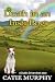 Death in an Irish Bog by Catie Murphy