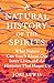 A Natural History of the Spirits: On Ecology, Belonging, and the Sublime