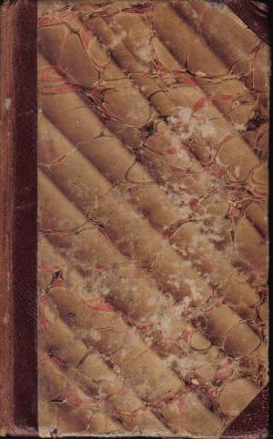 Die Schwärmer. Ein romatisches gemählde, nach Walter Scott von W. A. Lindau ... Volume T.2 1821 [Leather Bound] (Hardcover)