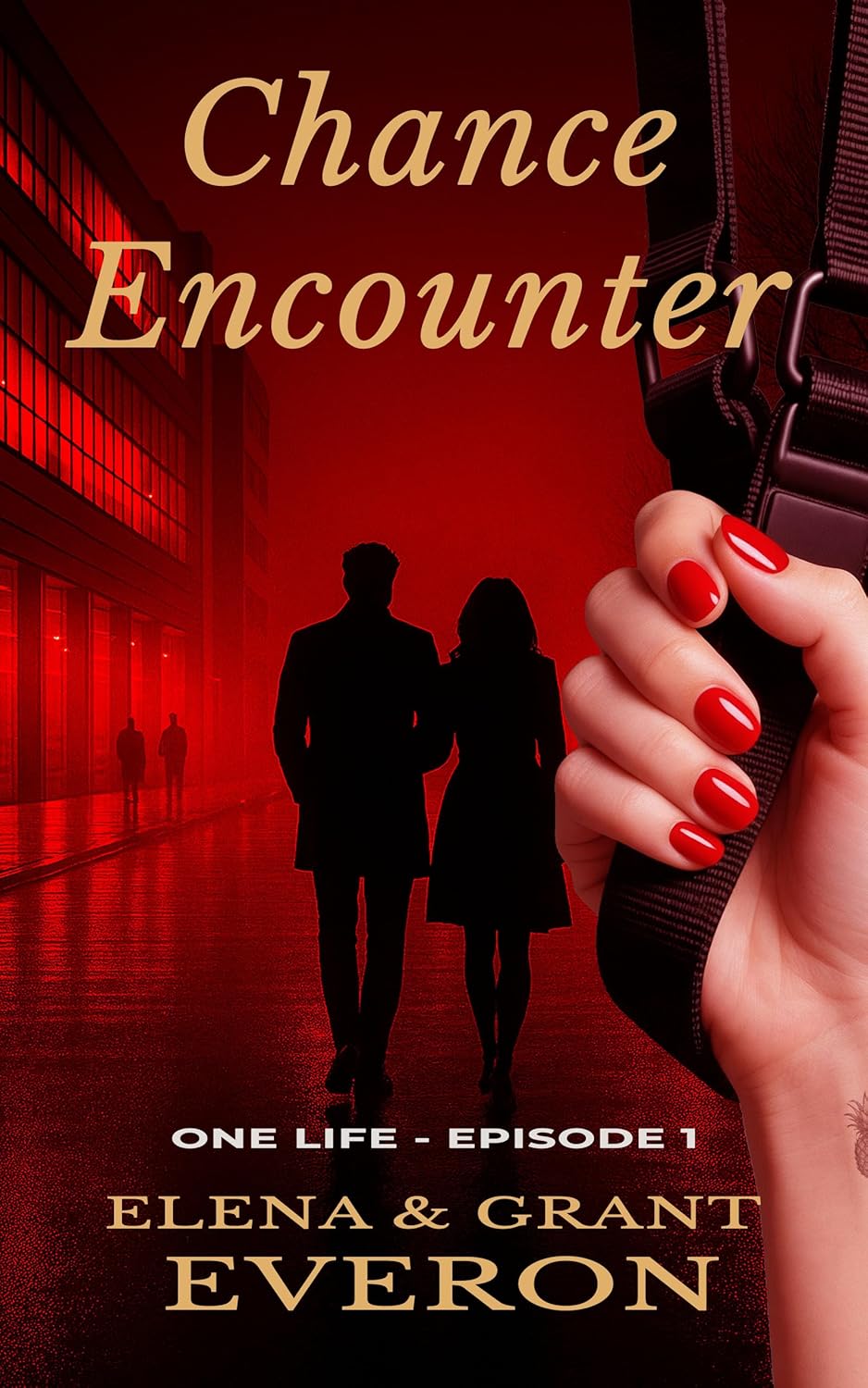 Chance Encounter (One Life #1)