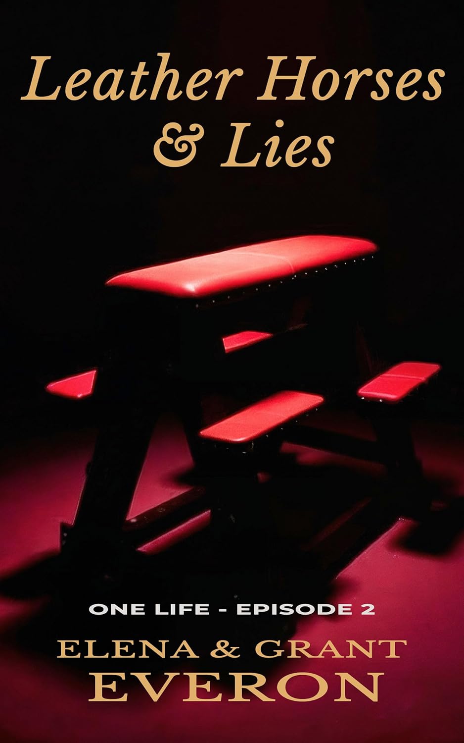 Leather Horses & Lies (One Life #2)