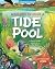 What Goes On Inside a Tide ...
