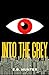 Into the Grey by E.B. Hunter