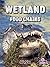 Wetland Food Chains