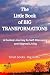 The Little Book of Big Transformations by Peggy Heipel