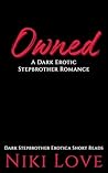 Owned: A Dark Ero...