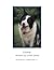 Doobie: An Early Reader Sto...