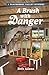 A Brush with Danger (Myster...