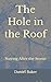 The Hole in the Roof: Stayi...