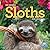 Original Sloths Wall Calend...