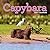 Capybara Wall Calendar 2027: A Happy, Capy Year