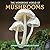 The Wondrous World of Mushrooms Wall Calendar 2027