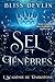 Sel et Ténèbres: Magie inte...