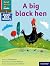 Read Write Inc. Phonics: A ...