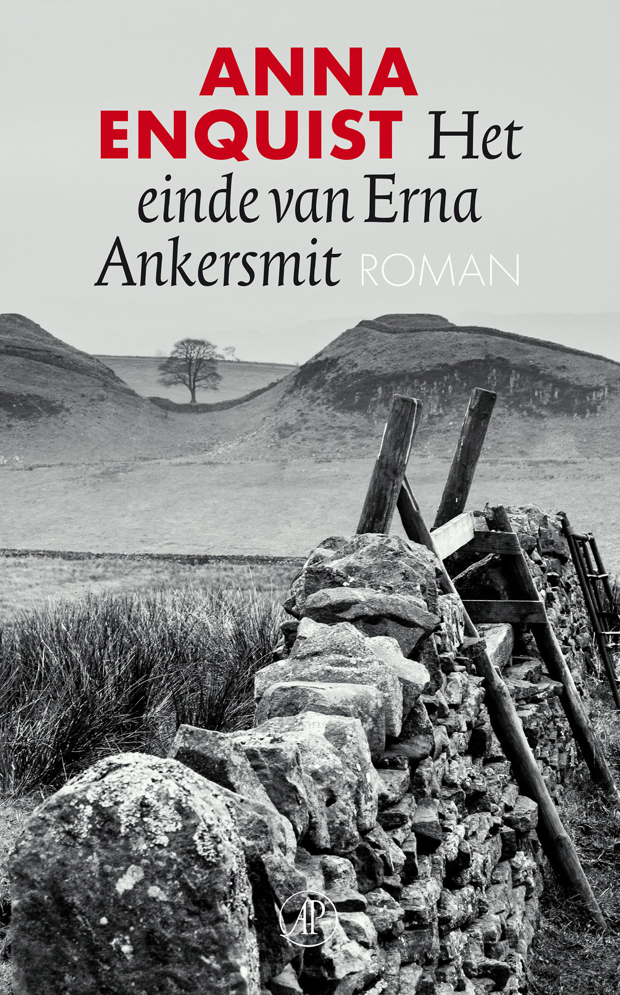Het einde van Erna Ankersmit (Hardcover)