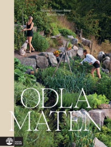 Odla maten
