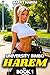 University Bimbo Harem Book 1