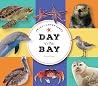 Animal Adventures: Day in the Bay Animal Adventures: Day in the Bay