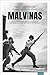 Malvinas: Una guerra del secolo scorso, un giornalista e un diario ritrovato (Italian Edition)