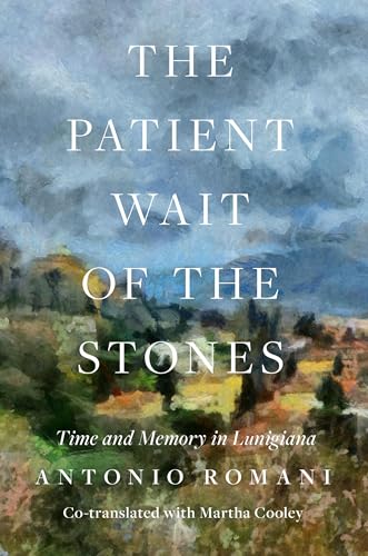 The Patient Wait of the Stones: Time and Memory in Lunigiana (Paperback)